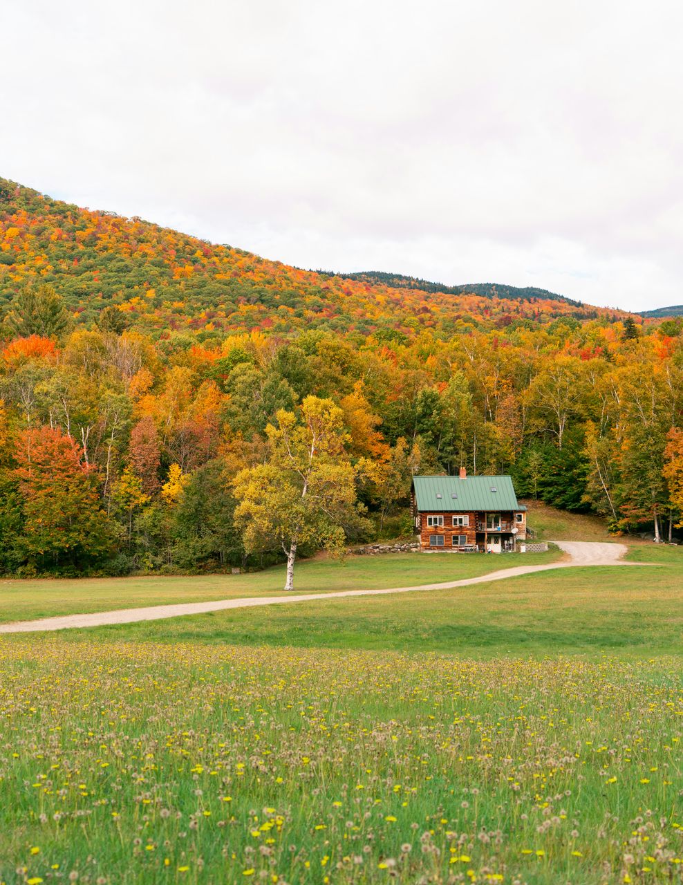 New Hampshire property and open field for septic system planning