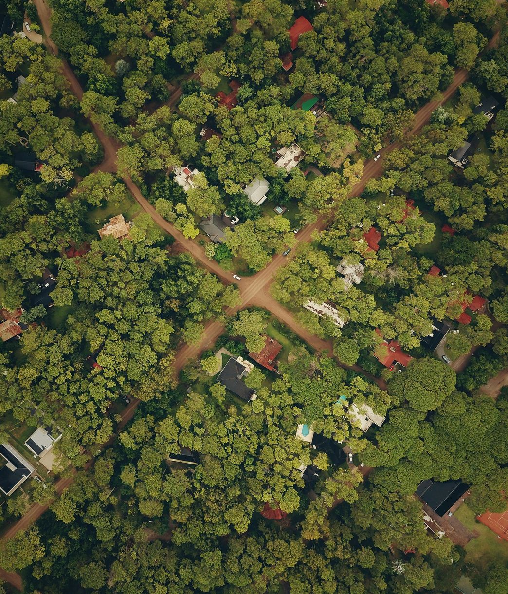 New Hampshire land prepared for septic design